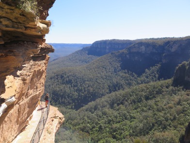 Blue Mountains from the Wentworth side