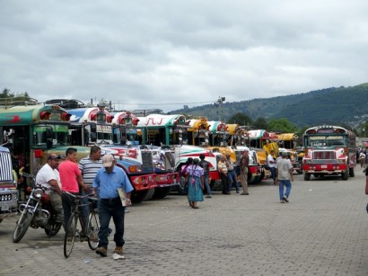 Buses at the market