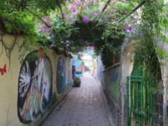 Murals and flowers